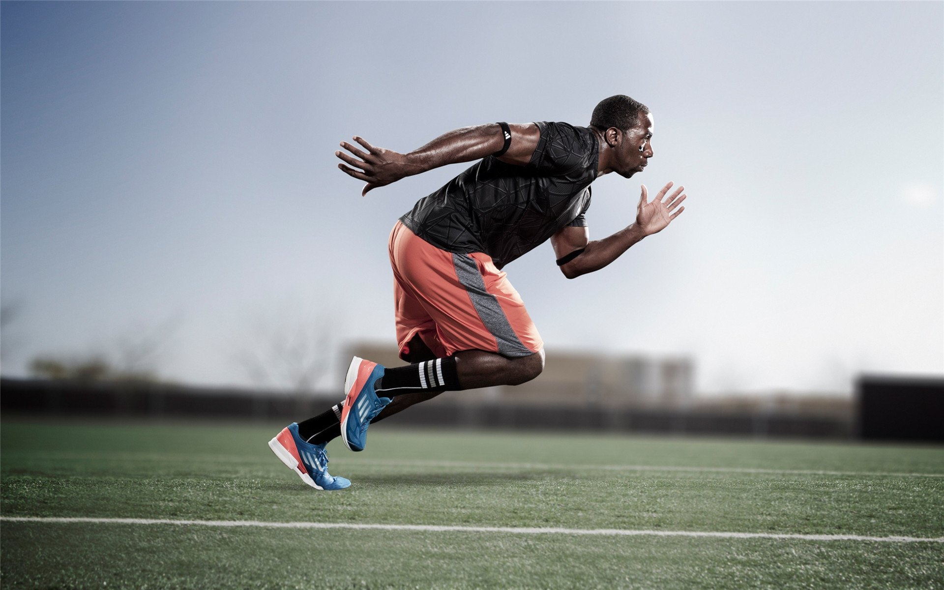 意甲焦点战，雄鹿争冠战中的战术博弈与尼克斯的坚韧反击